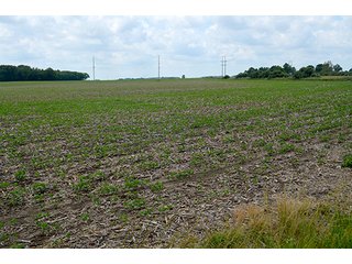 Property photo 141 - LAND AUCTION - 700+/- ACRES OFFERED IN 16 TRACTS IN ALLEN COUNTY, INDIANA